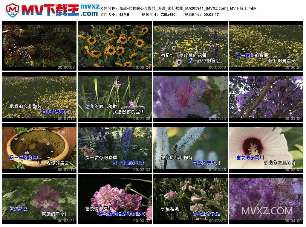 衡越-把我的心儿陶醉_国语_流行歌曲_MA205941